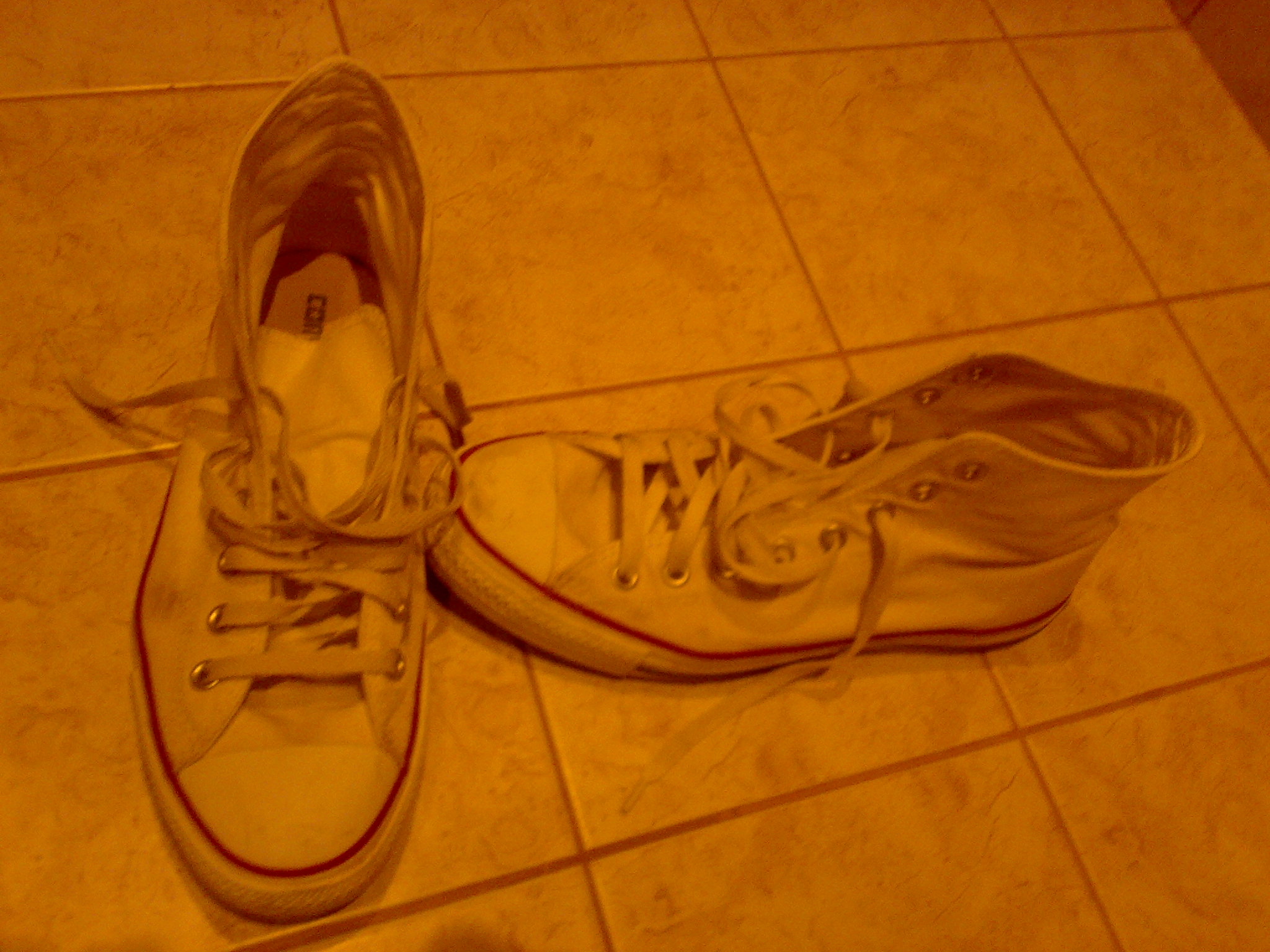 07092007504.jpg